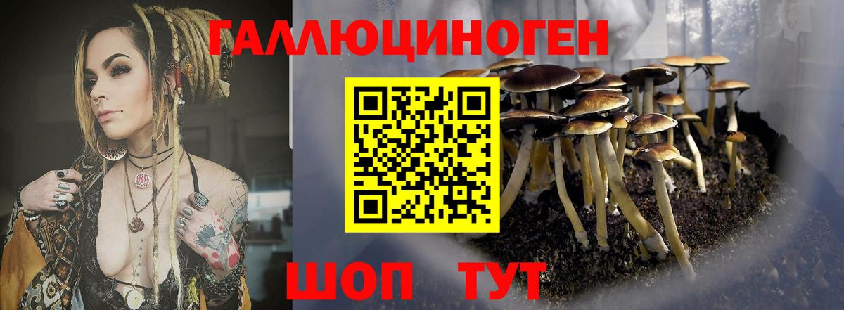 Лесосибирск  купить наркотик  Вход с VPN  Галлюциногенные грибы ЛСД 